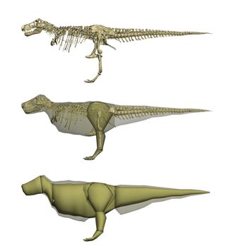 models show t. rex dinosaur