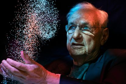 portrait of frank gehry