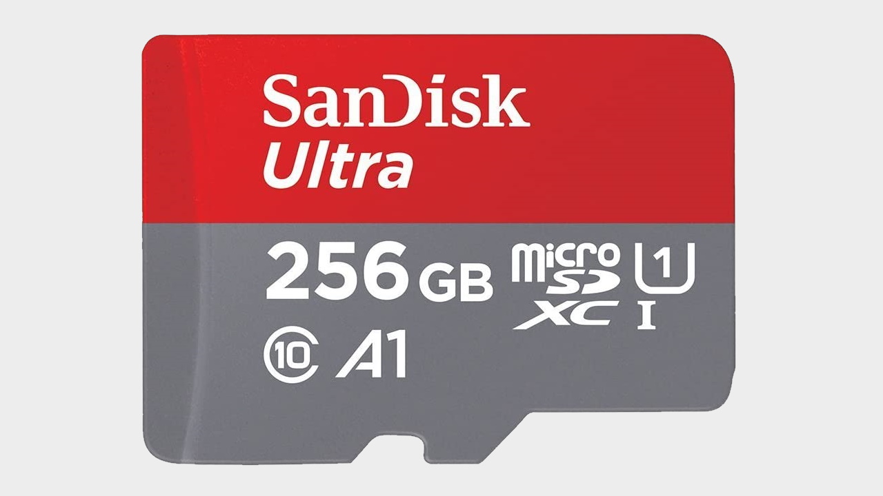 SanDisk Micro SD card