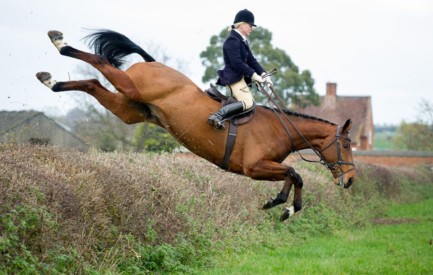 Ledbury Hunt 05 12 2014