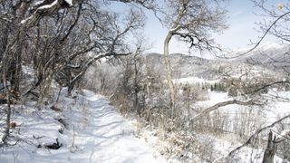 A snowshoe trail near Park City Utah