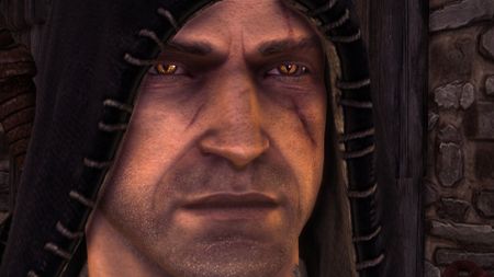 Screenshots of The Witcher 2 on PC