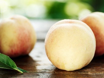 O'Henry Peaches Information and Facts