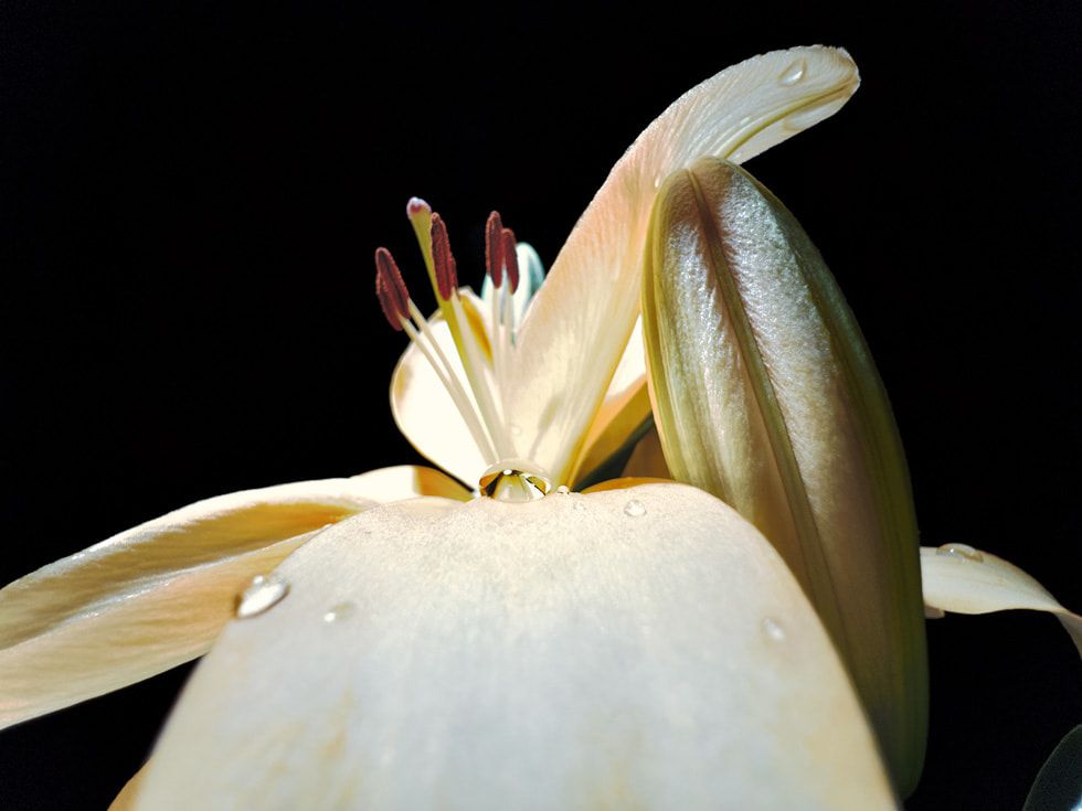 &ldquo;A Drop of Freedom&rdquo; by Daniel Olah Budapest, Hungary for 'shot on iPhone' competition