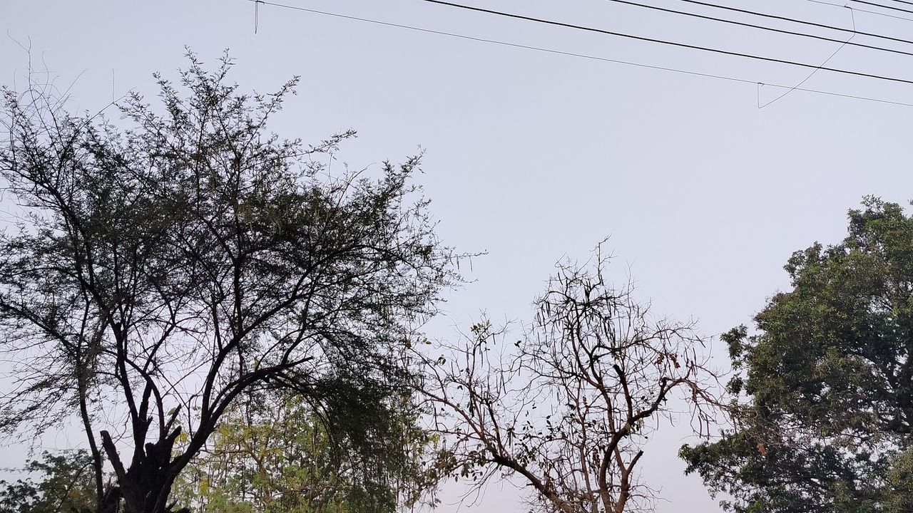 Realme 9 camera samples