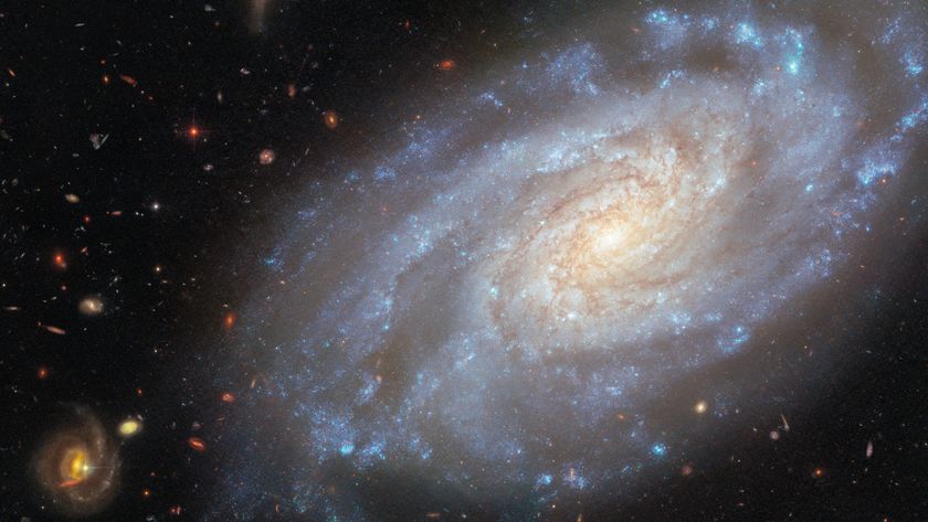  spiral galaxy occupies most of the image. It is a slightly tilted disc of stars, yellow-white in the centre and blue in the outskirts, showing light from different stars in the galaxy. Its spiral arms curl outwards from the centre, speckled with blue star clusters. Dark reddish threads of dust swirl around the galaxy’s centre. The backdrop is two medium-sized and many small, distant galaxies on a black background.