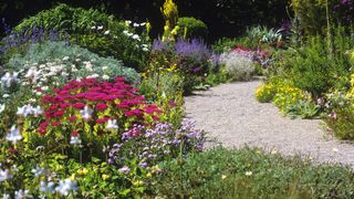 Aim for tough and drought-tolerant plant choices, such as silver foliages, phlomis, daisies, sedums, and achilleas, with bright colours that hold up well in the bright sunshine