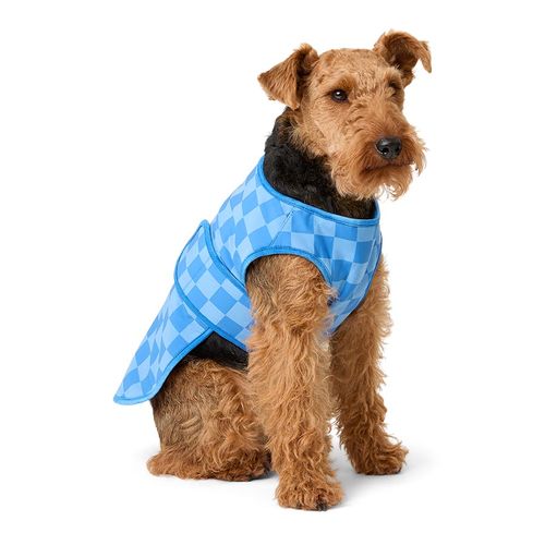 Colour Changing Cooling Vest