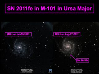SN 2011fe in M-101 in Ursa Major by Slooh Space Telescope