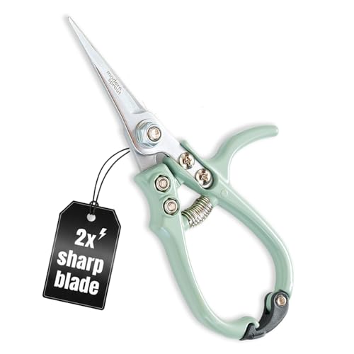 Modern Sprout Pruning Shears - Herb Snipping Scissors- Lightweight Gardening Tools W/easy Lock - Flower Cutter Garden Shears - Carbon Steel Blade + Reusable Holster (green, 1-Pack)