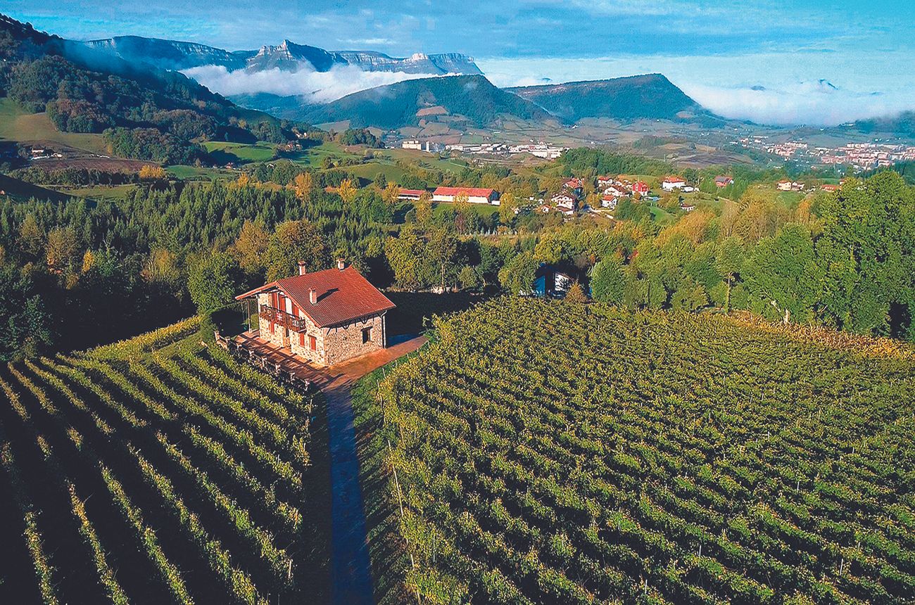 Top 20 Txakoli: The Basque Country's classic white re-emerges | Decanter