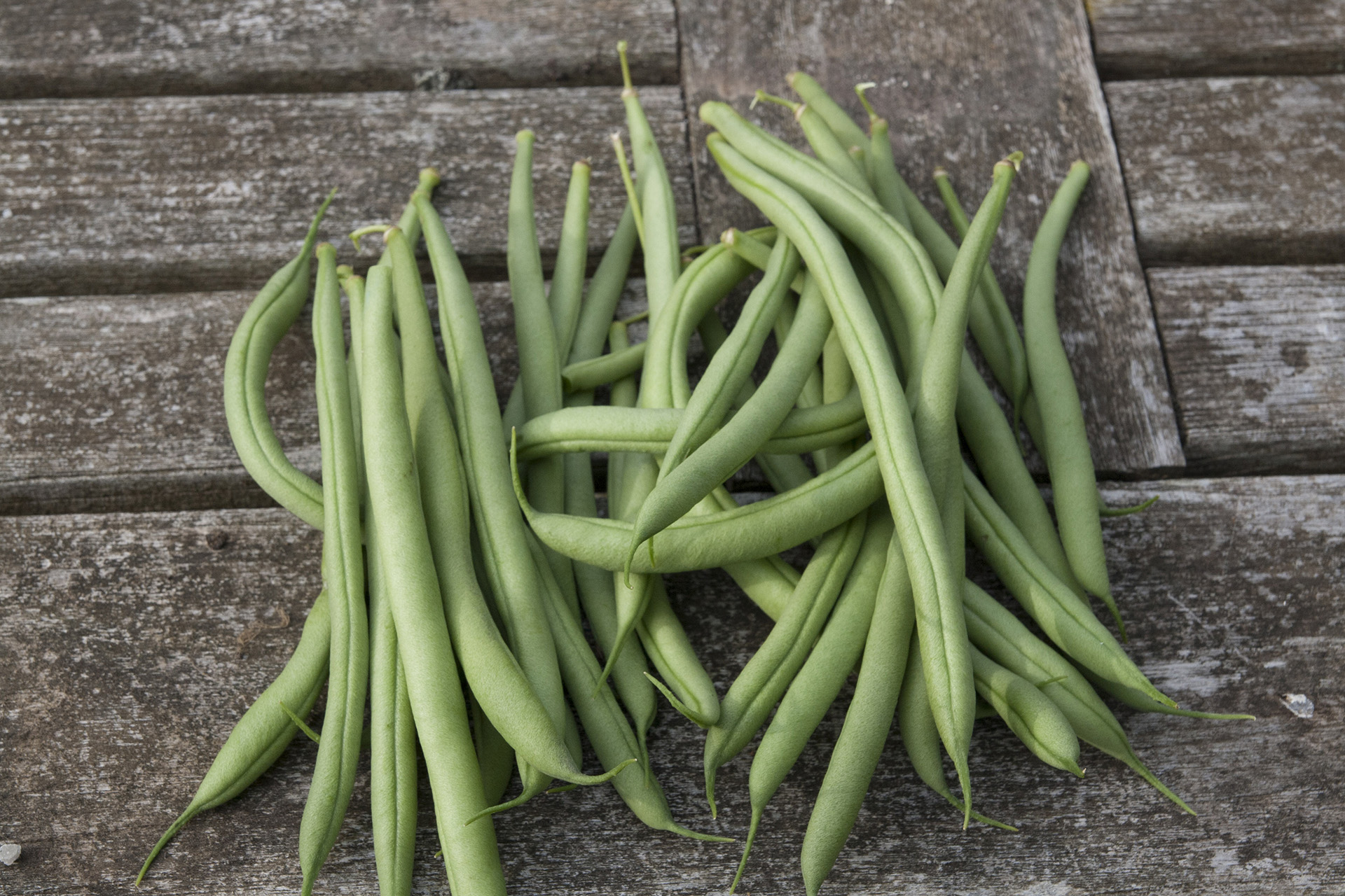 How to grow French beans | Country