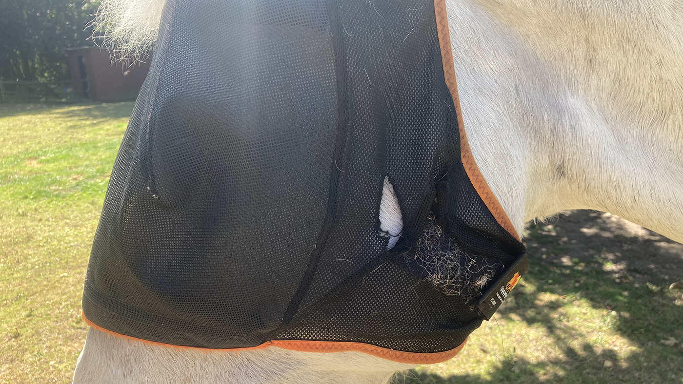 Equilibrium Field Relief Midi With Ears &amp;ndash;&amp;nbsp;hole in cheek after eight weeks use