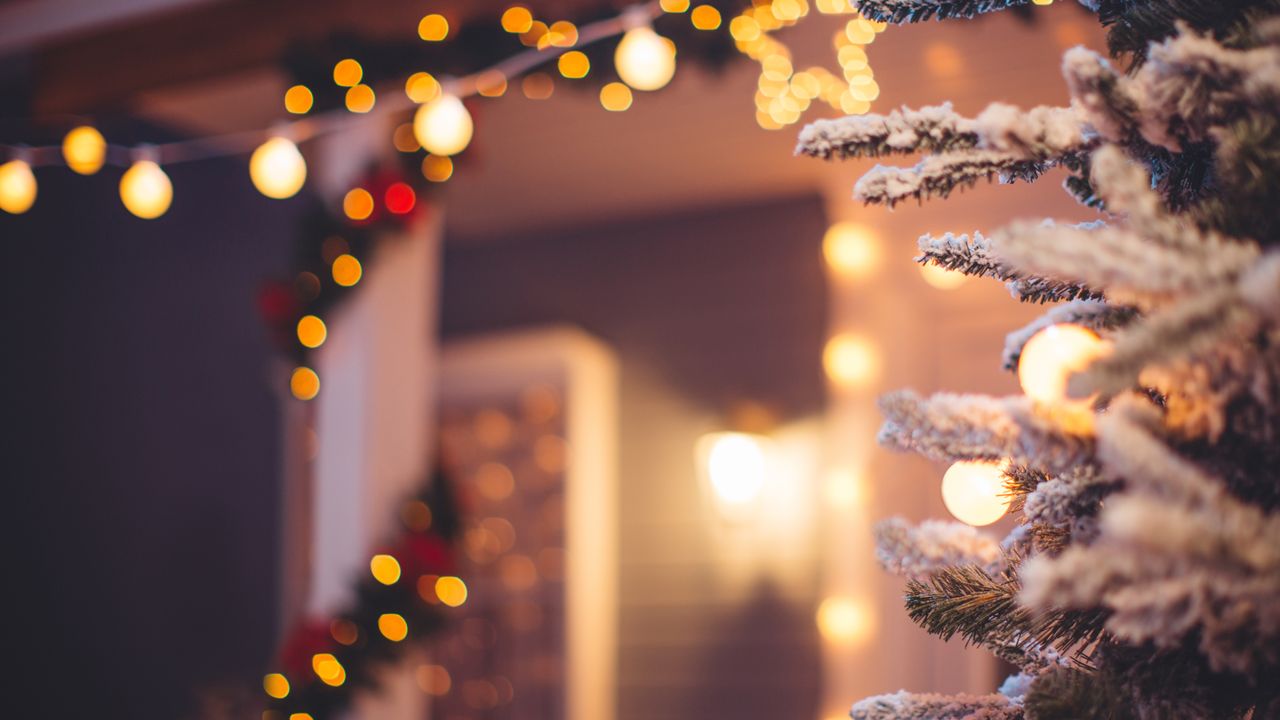 Christmas decorations and lights on a house