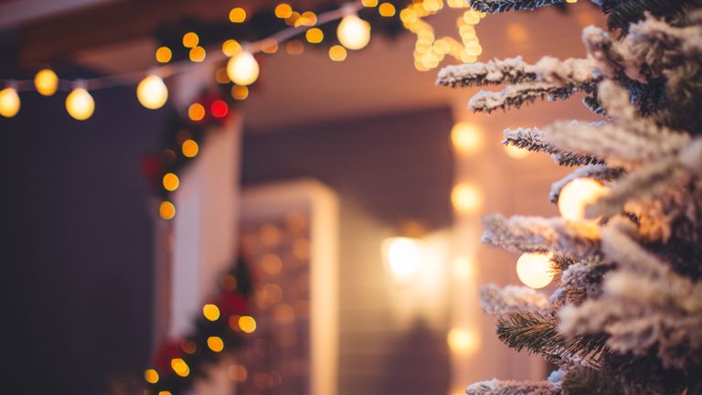 Christmas decorations and lights on a house