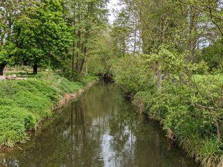 rivers and green trees taken on the Google Pixel 7a phone