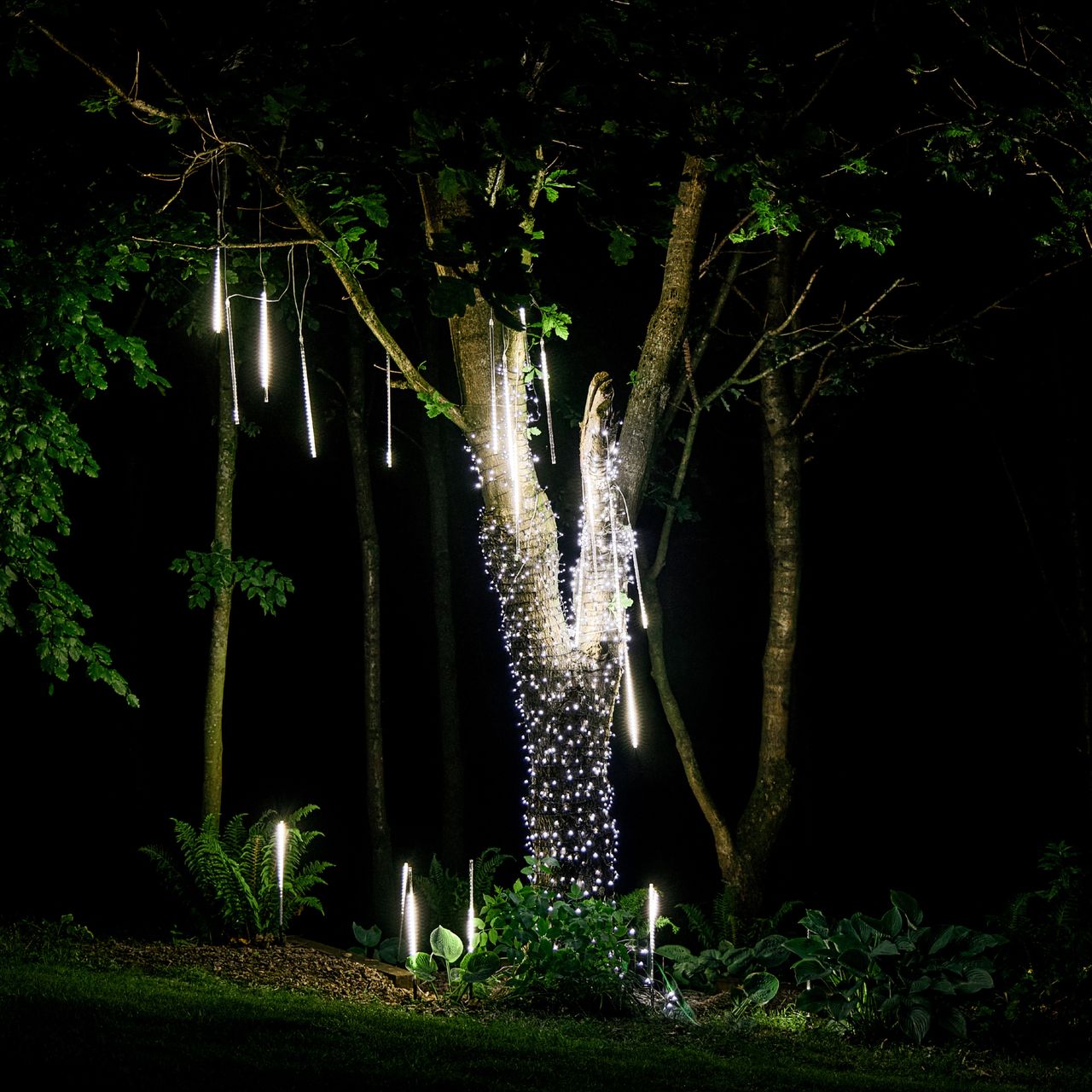 bright white lights around tree trunk and hanging from branches