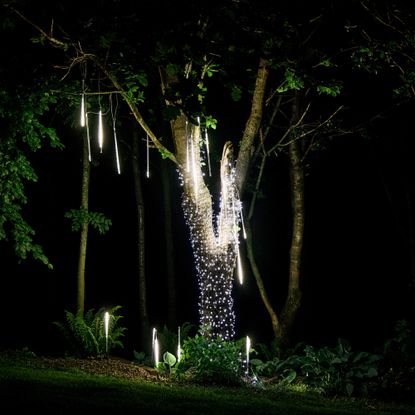 bright white lights around tree trunk and hanging from branches