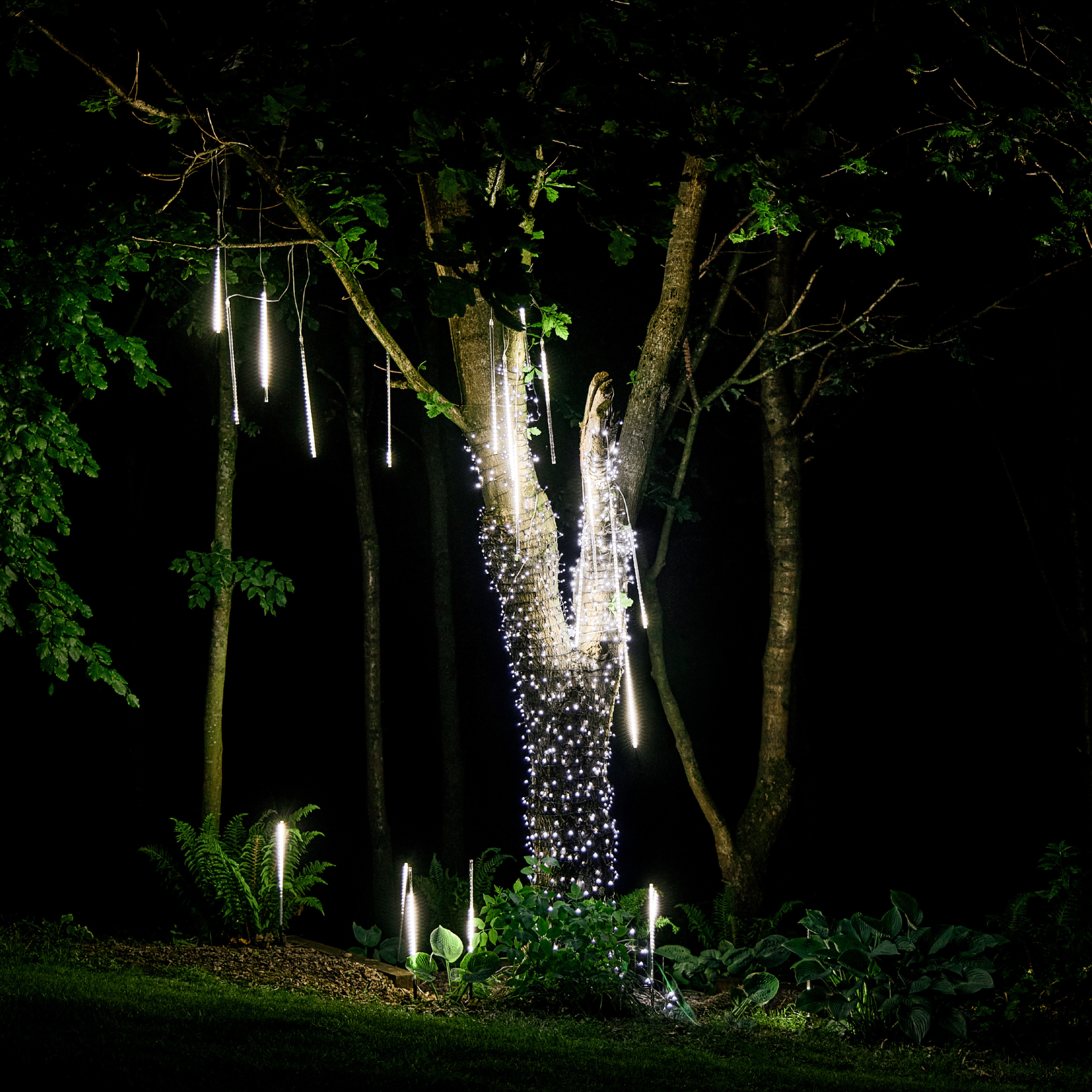 bright white lights around tree trunk and hanging from branches