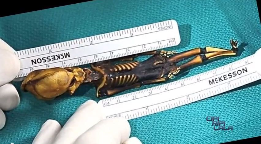 alien-looking skeleton from Atacama desert.