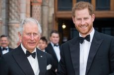 Prince Harry and Prince Charles