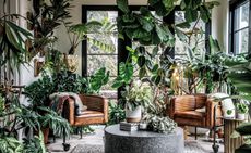 Sunroom filled with plants styled by Hilton Carter from Living Wild published by CICO Books