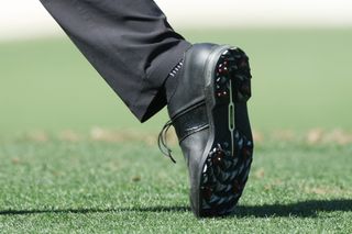 Tiger Woods' shoes