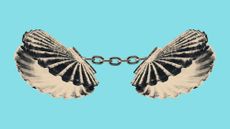 Illustration of seashells chained together like handcuffs