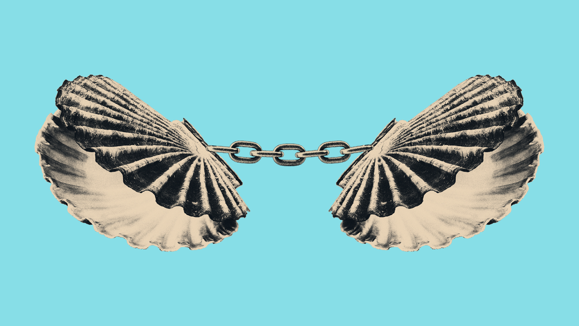 Illustration of seashells chained together like handcuffs