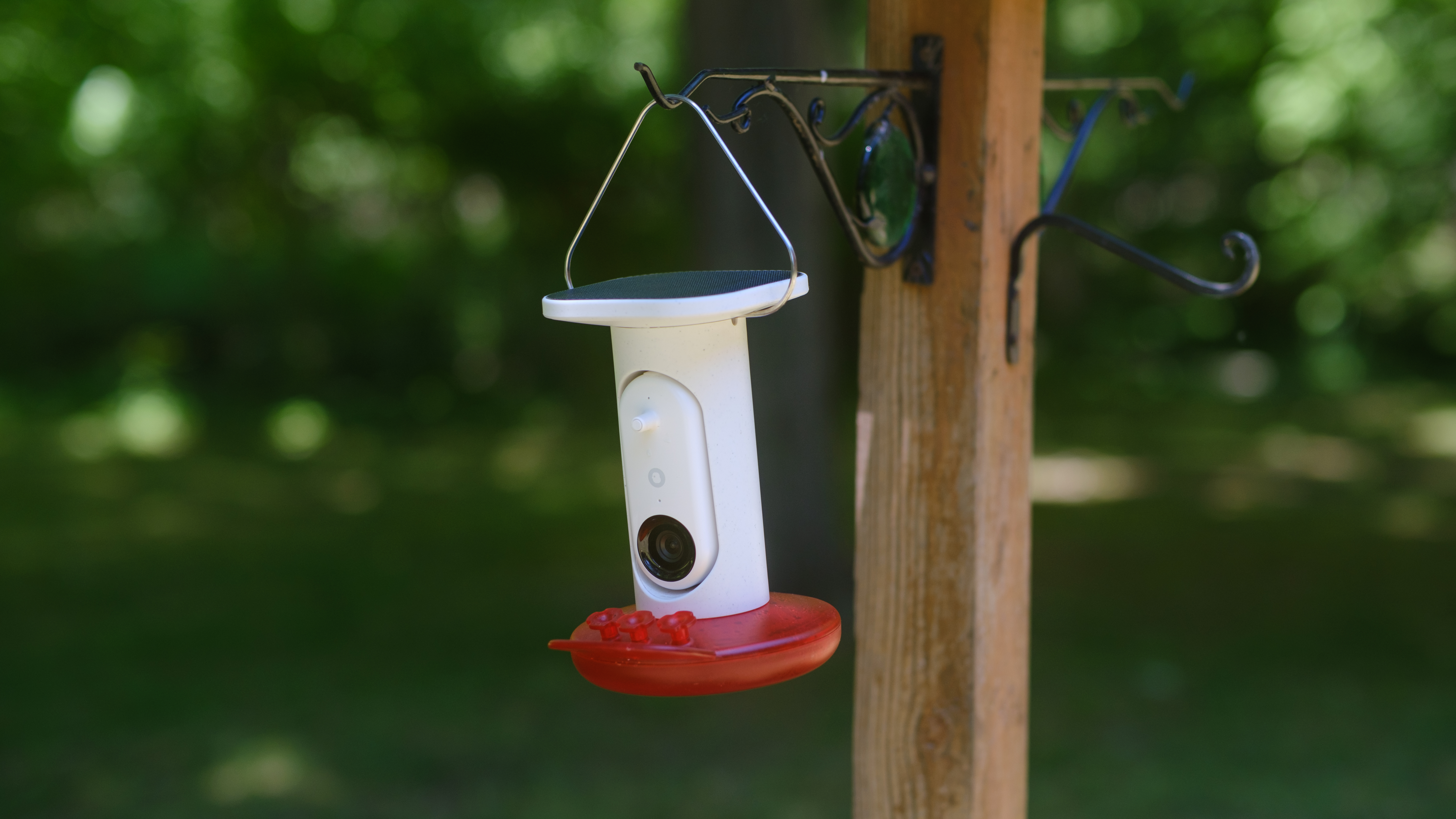 The Bird Buddy Smart Humming Bird Feeder photographed outdoors