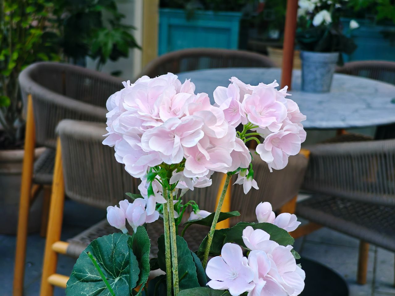 Camera sample captured on the Poco F8 Pro