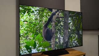 Hisense U7N (65U7N) mini LED TV with ape climbing tree on TV screen