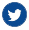 Twitter Circle blue
