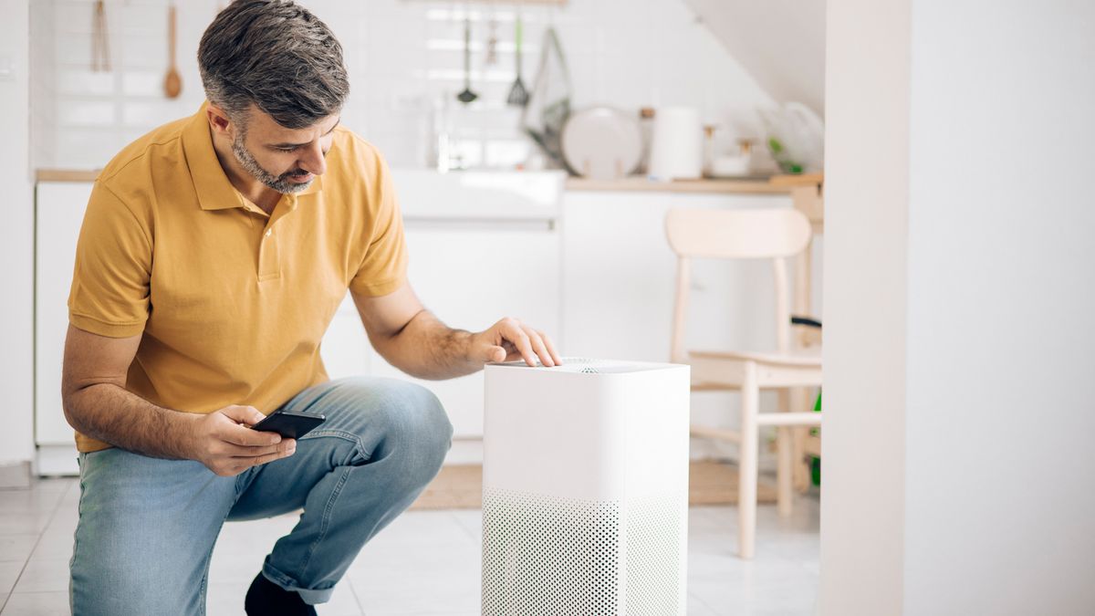 The 6 best air purifiers of 2022 - ZDNet