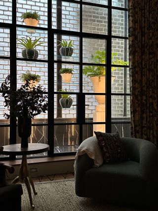 a fernery outside a living room window