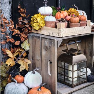 rustic display of pumpkins in terracotta flowerpots on upturned crates