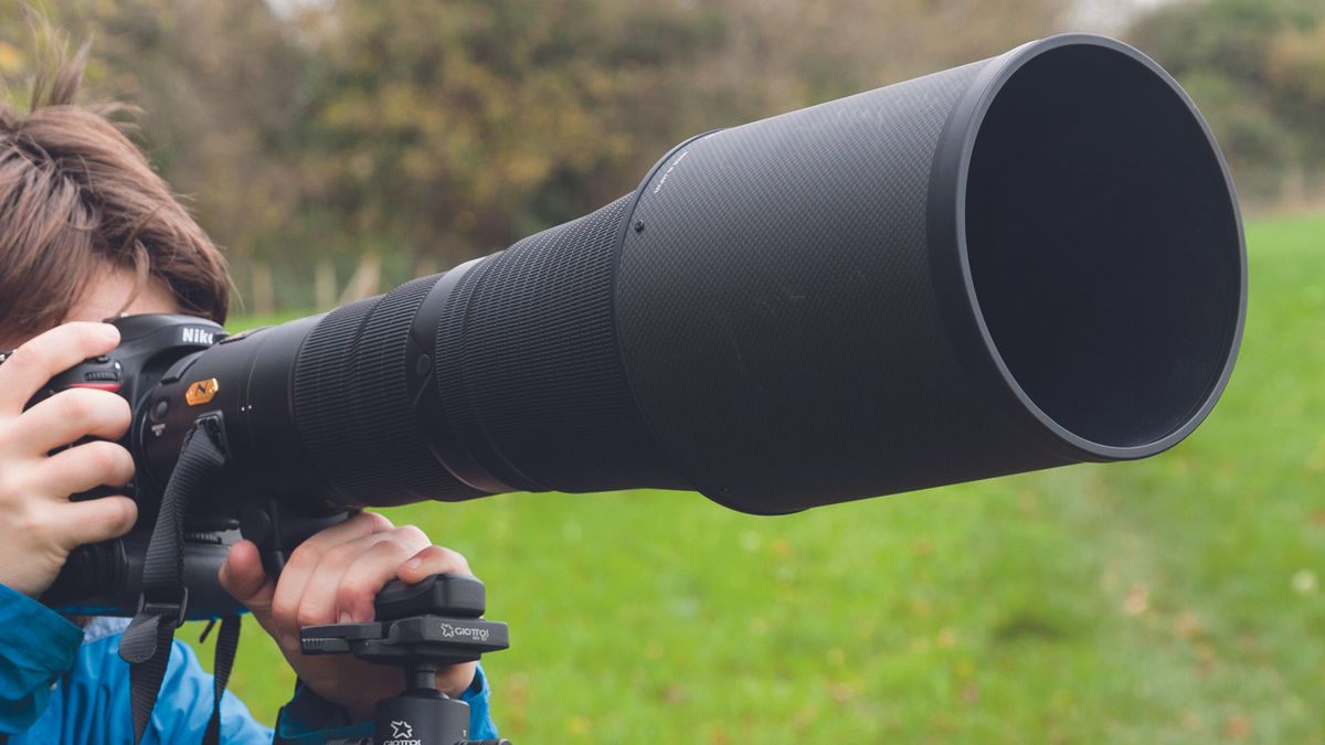 This one lens is the perfect choice for my wildlife photography goals ...