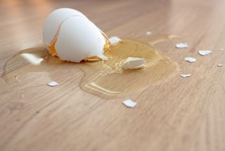 broken egg, second law of thermodynamics