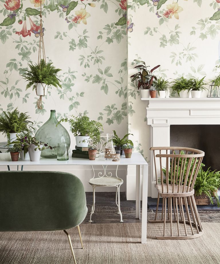 house plants in winter dining room