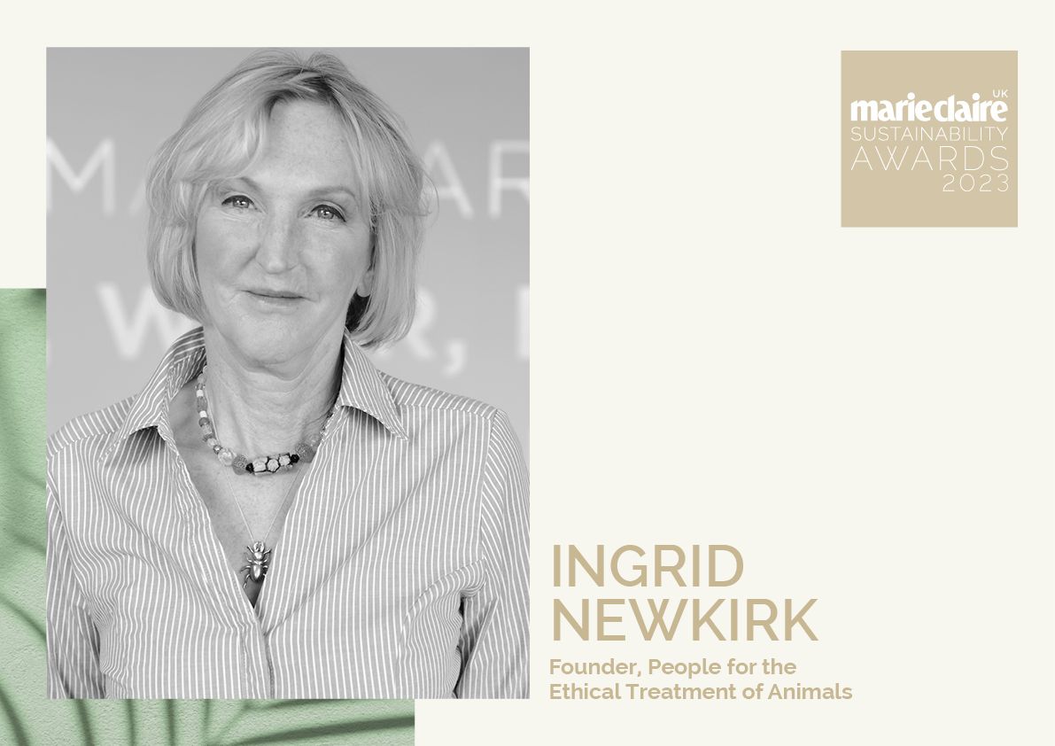Fashion's DIgest UK Sustainability Awards 2023 Ingrid Newkirk