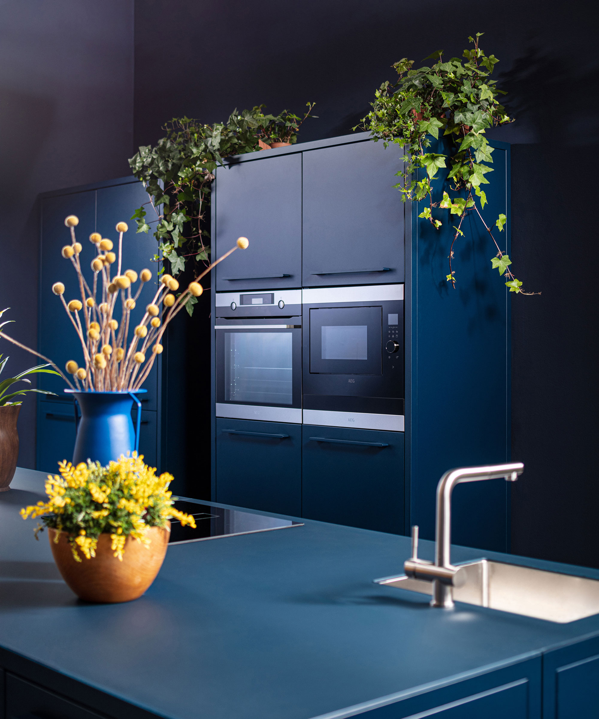 modern blue kitchen with plants on top of units