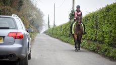 New research has looked at horses&rsquo; reactions to electric cars on the road