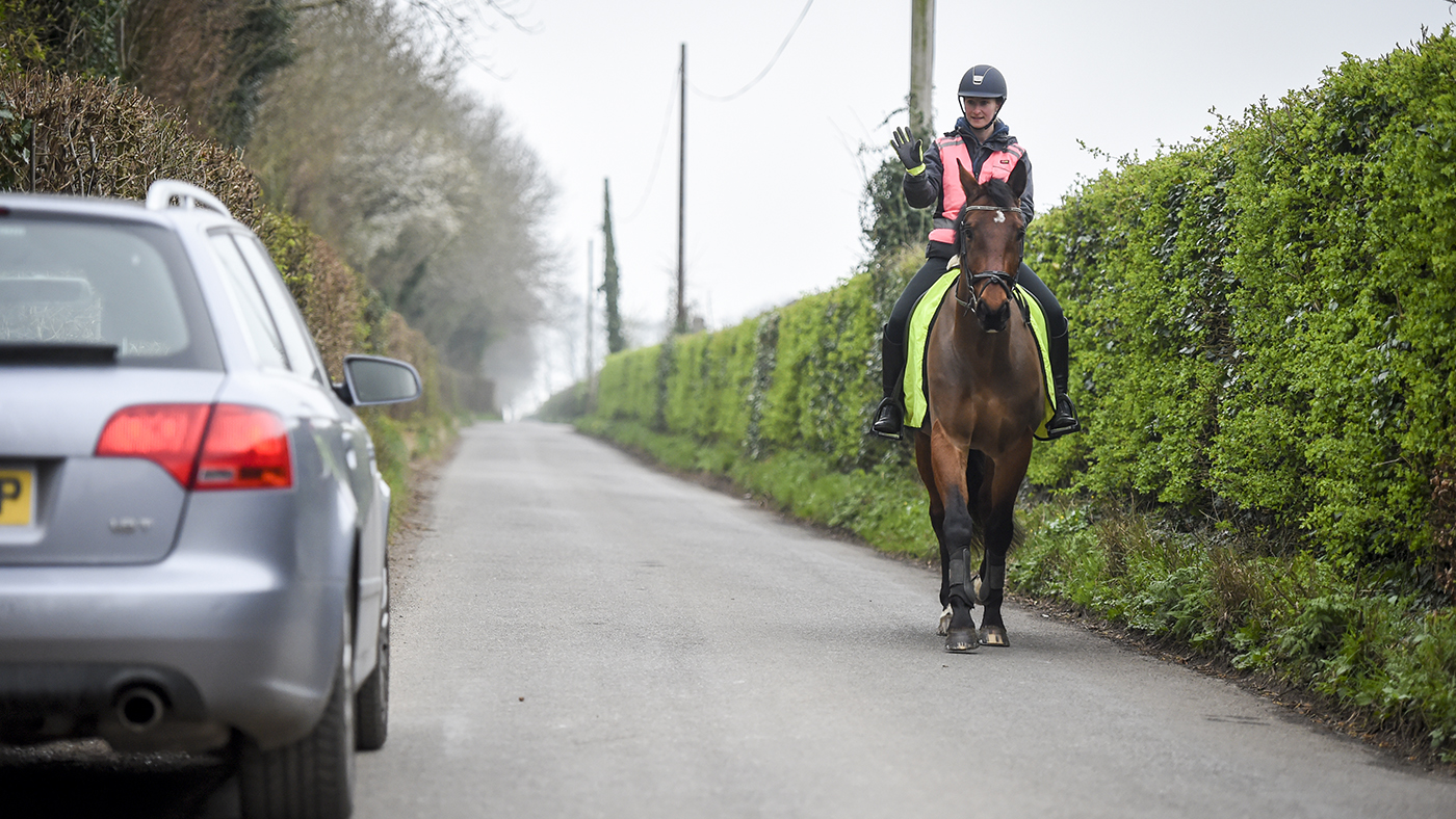 New research has looked at horses&rsquo; reactions to electric cars on the road