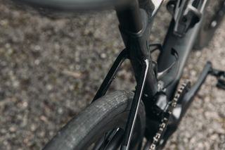 Detail of Liv Avail Advanced Pro seat stays and tire clearance