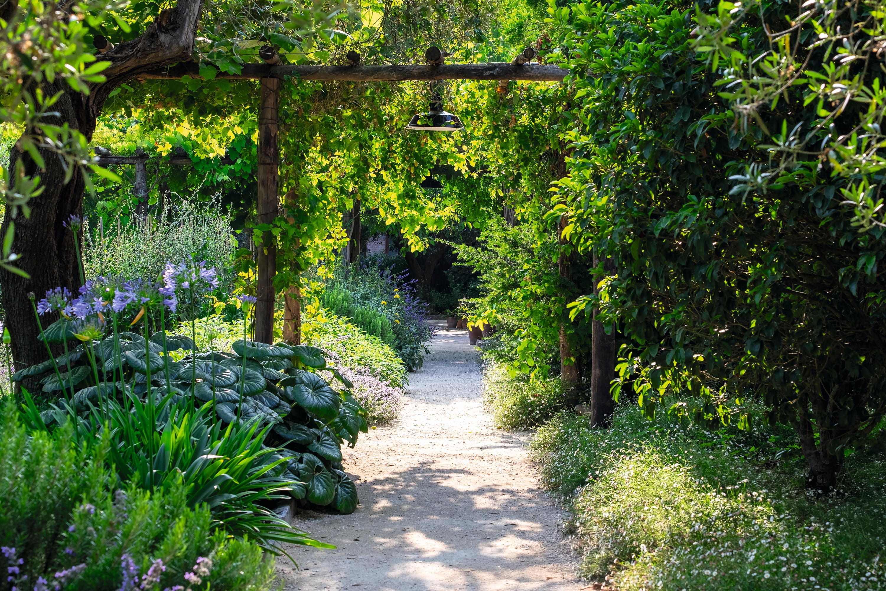 The Convent Garden of Il Redentore, Giudecca, Venice, Italy. 