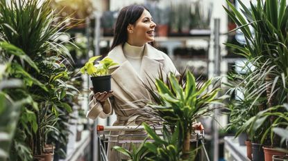 A smiling woman shops for houseplants