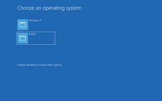 Windows 11 dual boot system