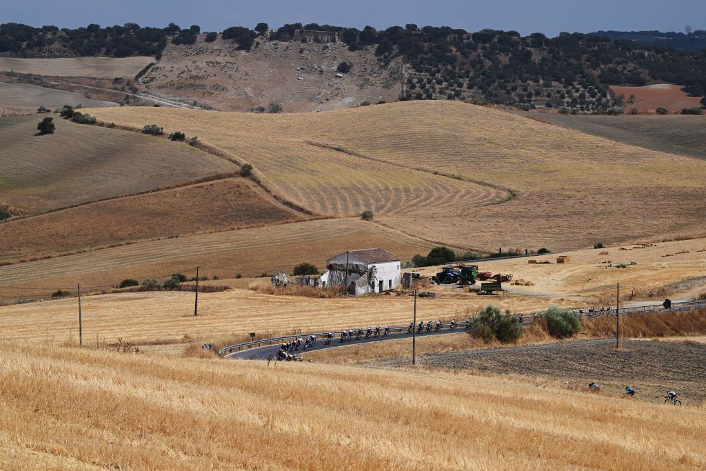 YUNQUERA SPAIN AUGUST 22 A general view of the peloton competing during the La Vuelta 79th Tour of Spain 2024 Stage 6 a 1855km stage from Jerez de la Frontera to Yunquera UCIWT on August 22 2024 in Yunquera Spain Photo by Dario BelingheriGetty Images