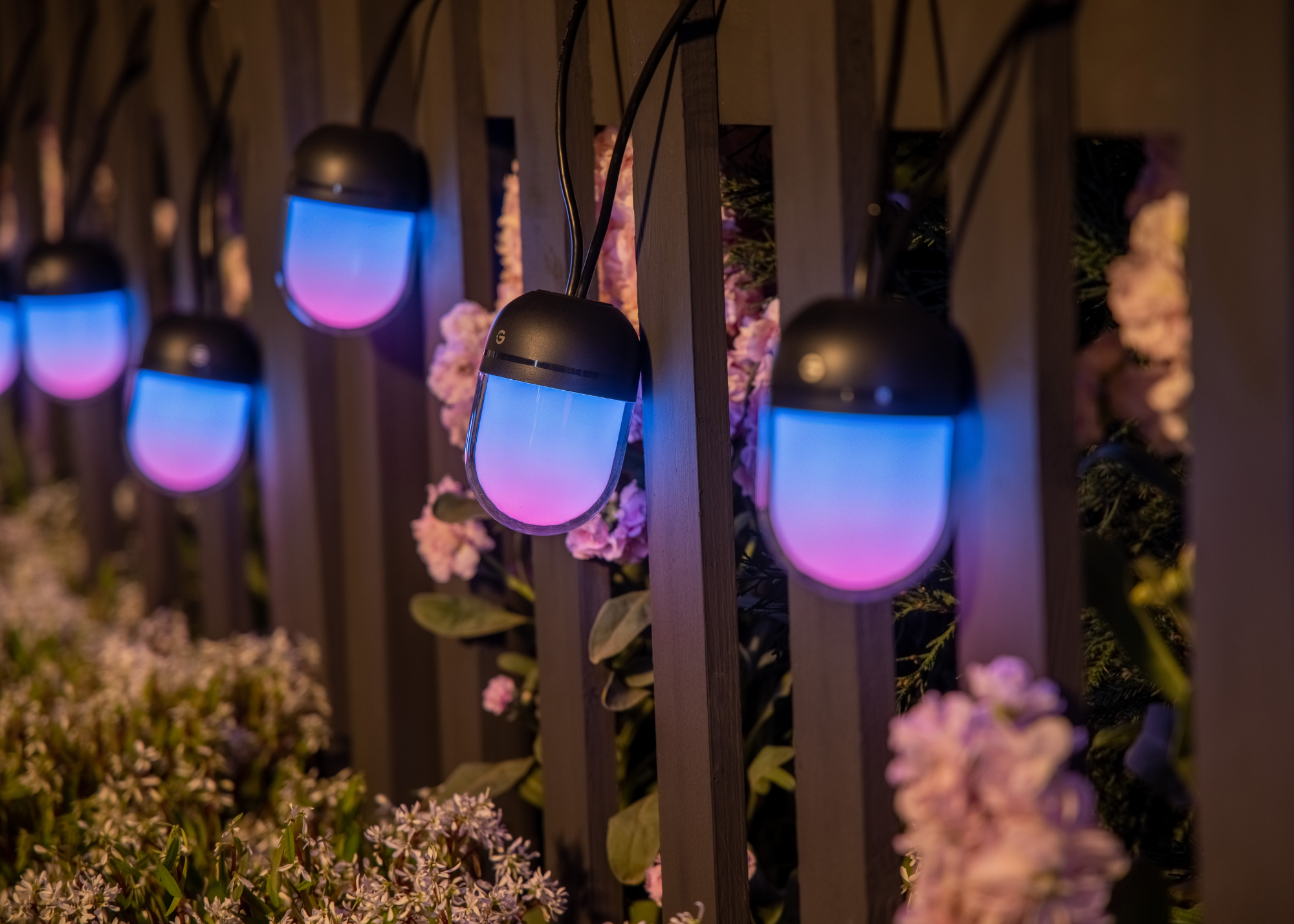 A close-up of an outdoor fence with blue and pink gradient string lights