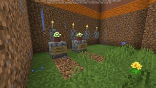 Minecraft Pet Cemetery Editorial